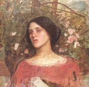 John William Waterhouse The Rose Bower (mk41) oil painting reproduction